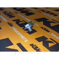 Гвинт натягувача грм 6х6 KTM Duke 390 90136003002