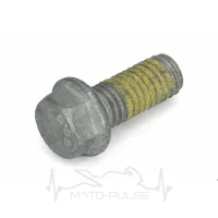 Гвинт (M6X13 WS=8 10.9) 59009062013