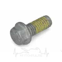 Гвинт (M6X13 WS=8 10.9) 59009062013
