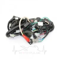 Проводка Shineray Xtrail 200