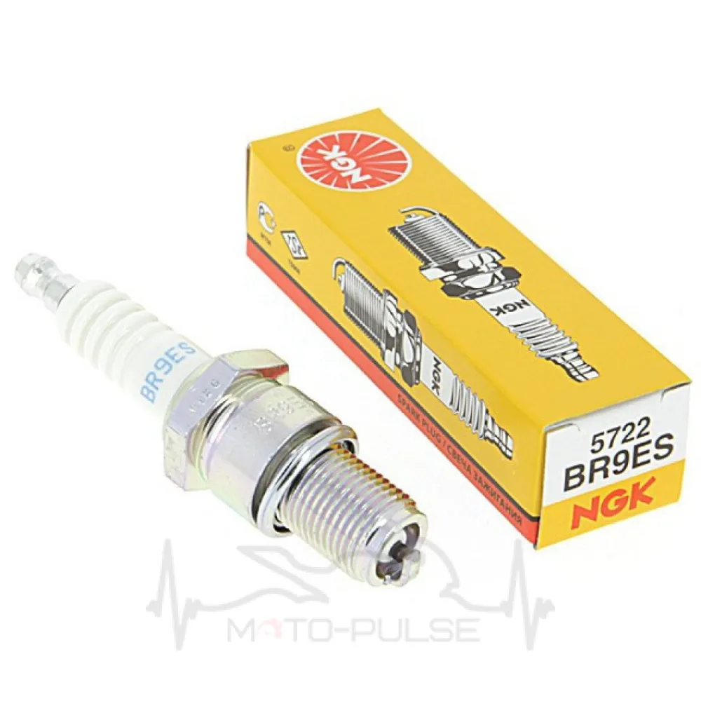 NGK 3194 BR9ES