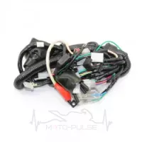 Проводка Shineray Xtrail 200