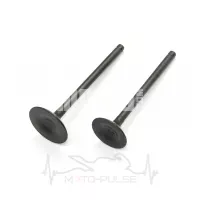 Клапана 172FMM Kovi lite 250