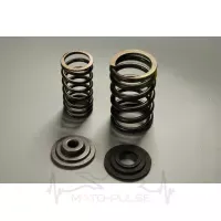 Ремкомплект клапанів Bajaj Pulsar 180 DK101326
