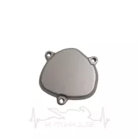 Кришка циліндру двигуна бічна, ліва сторона L/S 09 KTM EXC 5483700500015