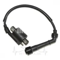 Катушка зажигания Shineray Z1 250