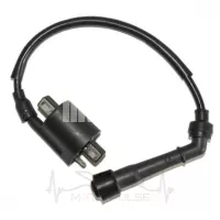 Катушка зажигания Shineray Z1 250